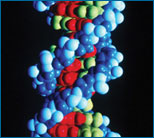 Resim DNA.jpg