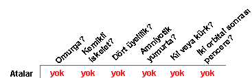 YS3 ancest chart tr.gif