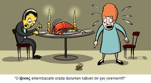 Dinnerisruined turkce.jpg