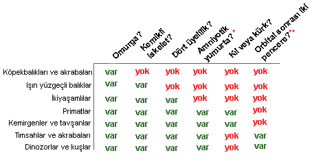 YS3 verts chart tr.gif